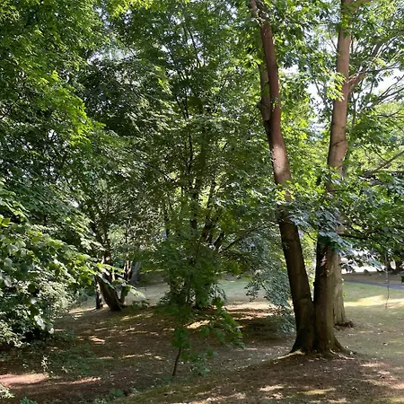 Work & Travel Fuer 4 Personen Appartement Kassel